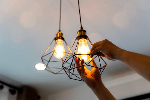 Best Commercial Electrician Services  in Lake Grove, NY